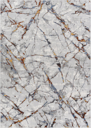 Surya Lustro LSR-2321 Area Rug Main Image 