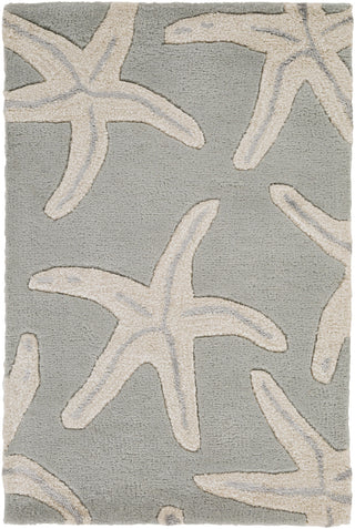 Surya Lighthouse LTH-7005 Beige Area Rug 2' x 3'