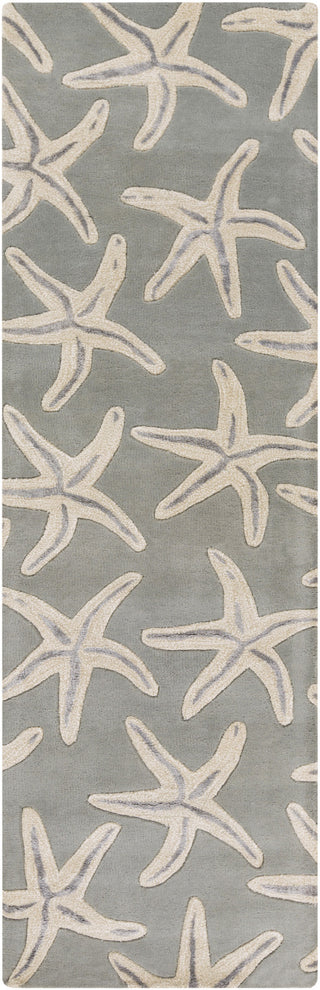 Surya Lighthouse LTH-7005 Beige Area Rug 2'6'' x 8' Runner