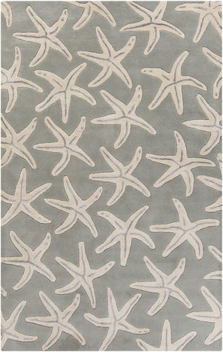 Surya Lighthouse LTH-7005 Beige Area Rug 5' x 8'