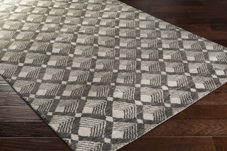 Surya Ludlow LUD-2003 Area Rug by DwellStudio Corner Shot Feature