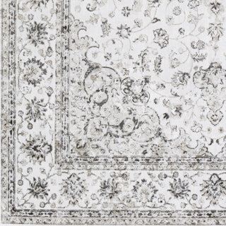 Surya Luxembourg LUM-1004 Area Rug