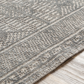 Surya Livorno LVN-2302 Area Rug