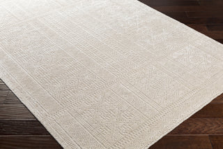 Surya Livorno LVN-2303 Area Rug Corner Shot Feature