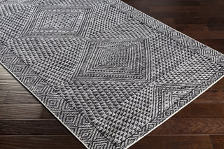Surya Livorno LVN-2305 Area Rug