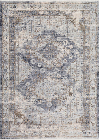 Surya Liverpool LVP-2301 Charcoal Medium Gray Silver White Ivory Camel Area Rug Mirror main image