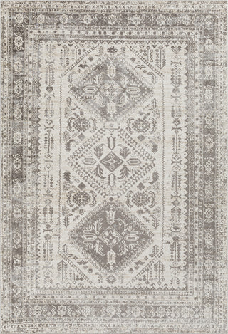 Surya Lavadora LVR-2301 Area Rug main image