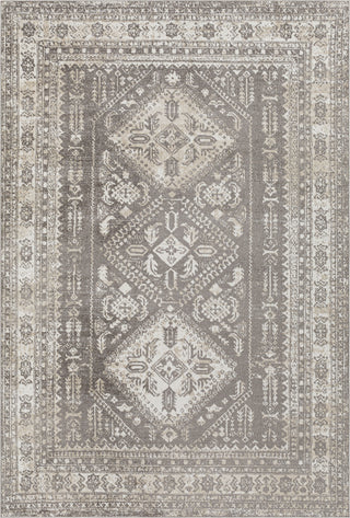 Surya Lavadora LVR-2302 Area Rug main image