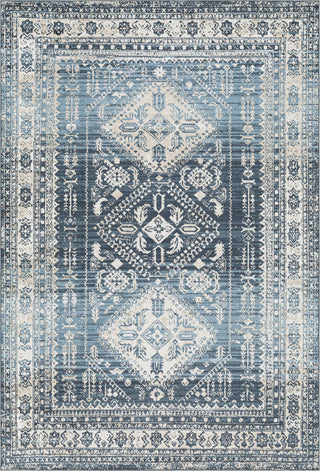 Surya Lavadora LVR-2303 Area Rug main image