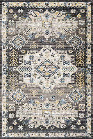 Surya Lavadora LVR-2307 Area Rug main image