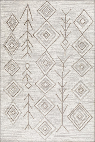 Surya Lavadora LVR-2310 Area Rug main image