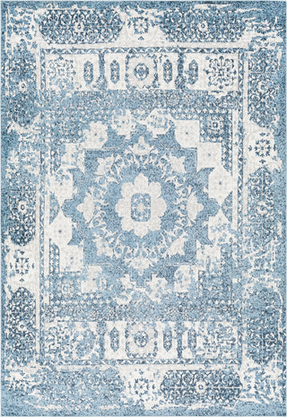 Surya Lavadora LVR-2314 Area Rug main image