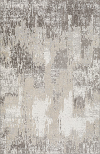 Surya Lavadora LVR-2315 Area Rug main image