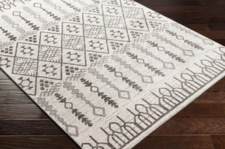 Surya Lavadora LVR-2316 Area Rug Corner Shot