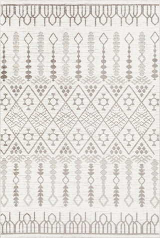 Surya Lavadora LVR-2316 Area Rug main image