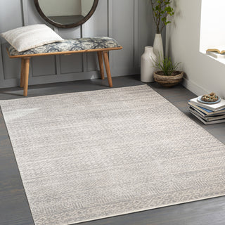 Surya Lavadora LVR-2319 Area Rug Room Scene Feature