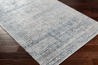 Surya Lavadora LVR-2320 Area Rug Corner Shot