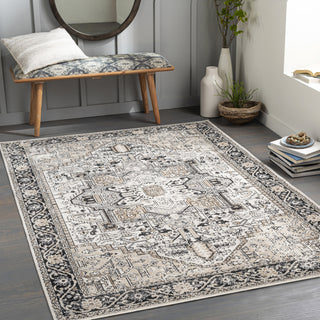 Surya Lavadora LVR-2322 Area Rug Room Scene Feature