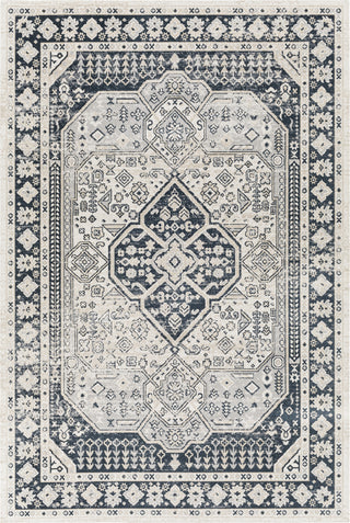 Surya Lavadora LVR-2324 Area Rug main image