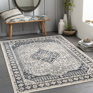 Surya Lavadora LVR-2324 Area Rug Room Scene Feature