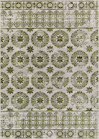 Surya Lavadora LVR-2326 Area Rug main image