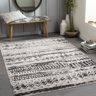 Surya Lavadora LVR-2329 Area Rug Room Scene Feature