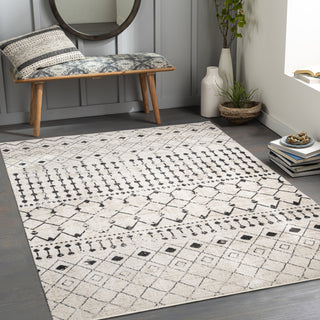 Surya Lavadora LVR-2336 Area Rug Room Scene Feature