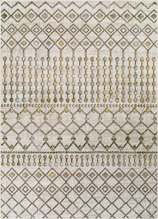 Surya Lavadora LVR-2337 Area Rug main image