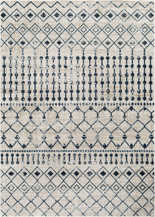 Surya Lavadora LVR-2338 Area Rug main image