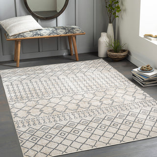 Surya Lavadora LVR-2339 Area Rug Room Scene Feature