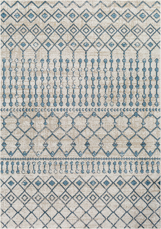 Surya Lavadora LVR-2340 Area Rug main image