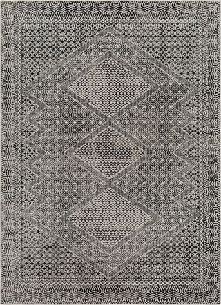 Surya Lavadora LVR-2341 Area Rug main image