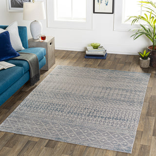 Surya Lavadora LVR-2343 Area Rug Room Scene Feature