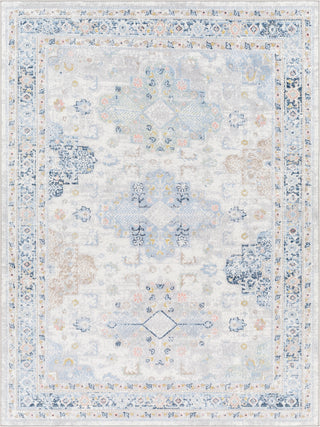 Surya Lavadora LVR-2346 Area Rug main image