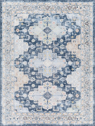 Surya Lavadora LVR-2347 Area Rug main image