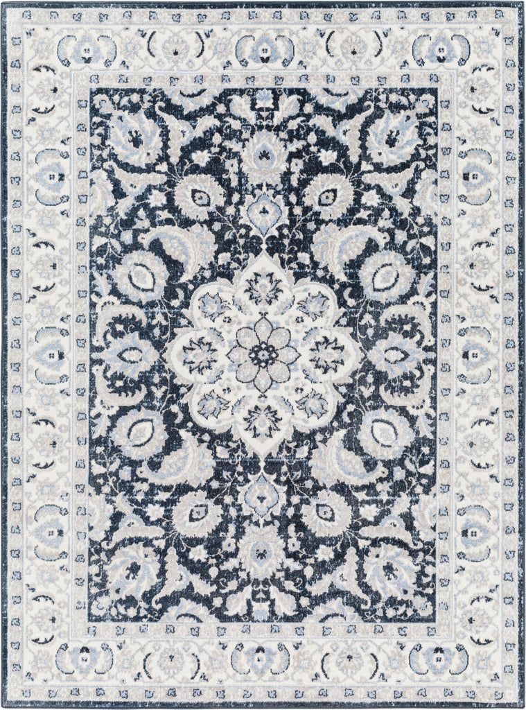 Surya Lavadora LVR-2353 Area Rug main image