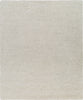 Surya Lavish LVS-2303 Area Rug main image