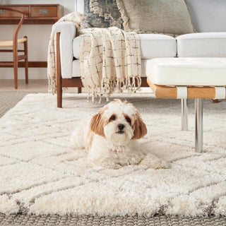 Nourison Luxurious Shag LXR07 Ivory Area Rug Main Image