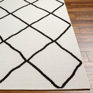 Surya Lyna LYA-2303 Area Rug Angle