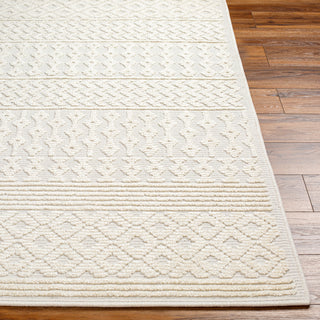 Surya Lyna LYA-2309 Area Rug Angle