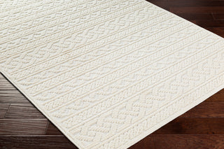Surya Lyna LYA-2315 Area Rug Corner Shot