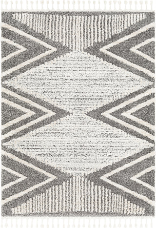 Surya Lyon LYN-2301 Area Rug main image