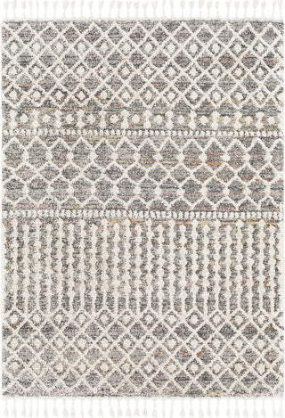 Surya Lyon LYN-2302 Area Rug main image