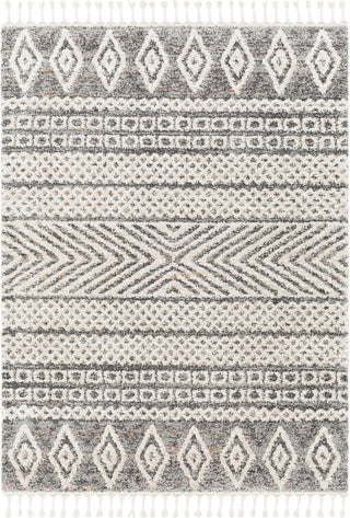 Surya Lyon LYN-2303 Area Rug main image