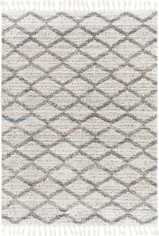 Surya Lyon LYN-2305 Area Rug main image