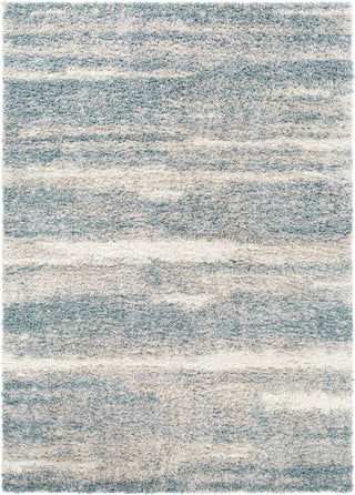 Surya Lyra Shag LYR-2300 Area Rug main image