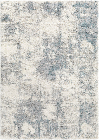 Surya Lyra Shag LYR-2301 Area Rug main image