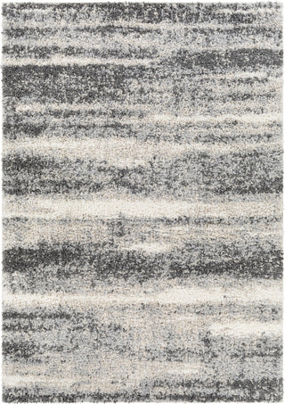 Surya Lyra Shag LYR-2303 Area Rug main image