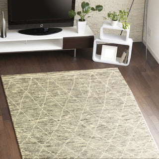 Bashian Marakesh M133-BN14 Grey Area Rug Room Scene Feature