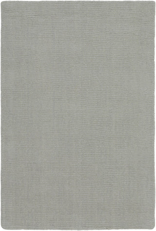 Surya Mystique M-211 Light Gray Area Rug 2' x 3'